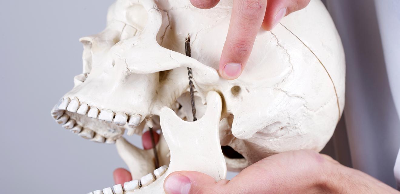 man pointing to skull